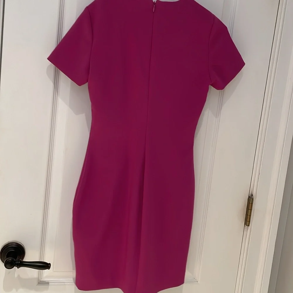 LIKELY Sheath Interview or Special Occasion Dress rich color, beautifully cut - Picture 5 of 5